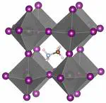 Cation Dynamics as Structure Explorer in Hybrid Perovskites─The Case of MAPbI3